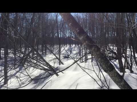 2017 Ski Doo FreeRide 137 | GGB Trail Can