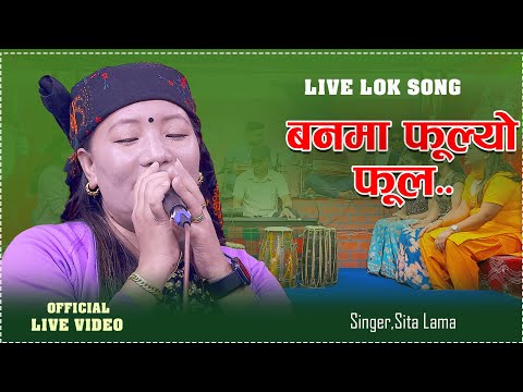 निकै मार्मिक गीत वनमा फुल्यो फुल  सीता लामाको आवाजमा..Banma Fulyo Ful  By.Sita Lama new Live LokSong