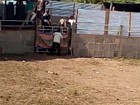 Montadera en sumuvila moisés picado camarografo