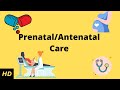 What Is Prenatal Antenatal Care