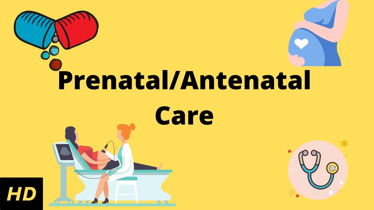 What is Prenatal/Antenatal care?