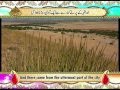 Surah Ya Sin Beautiful Recitation And Visualization Of The Holy Quran
