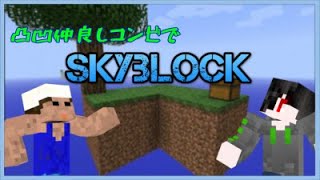 【マイクラ】社畜とJKのスカイブロック～るりやん視点～