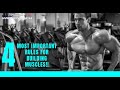 The Four Most Important Rules when It Comes to Building Muscles!!