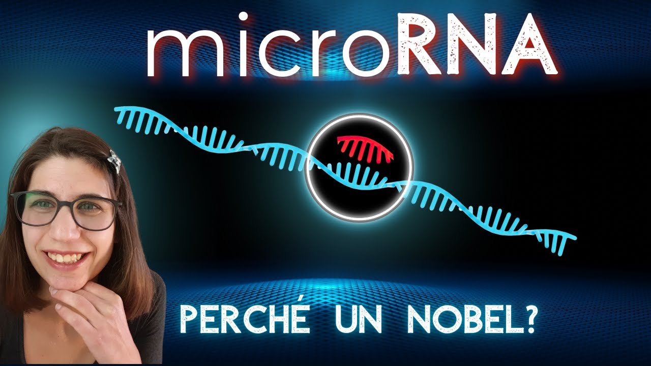 Che cosa sono i microRNA (e perché hanno vinto un nobel)