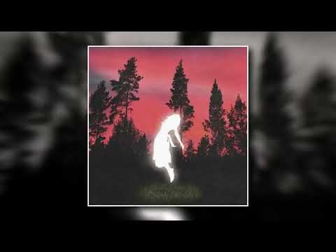 YUNG LEAN - GINSENG STRIP 2000 [TIKTOK REMIX]