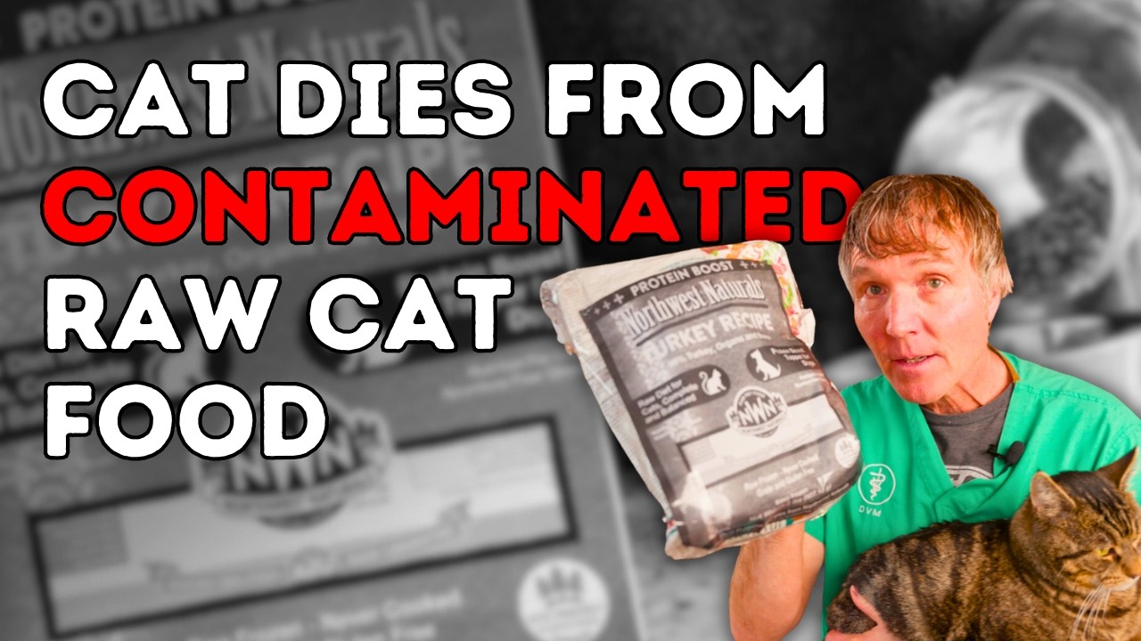 URGENT: Stop Raw Pet Food Now! Vet Explains Bird Flu Risks & FDA Recall!