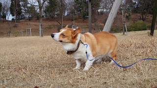 ソラのスライドショー