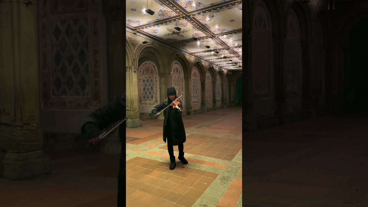 Promotional video thumbnail 5 for NYC Violinist Michi