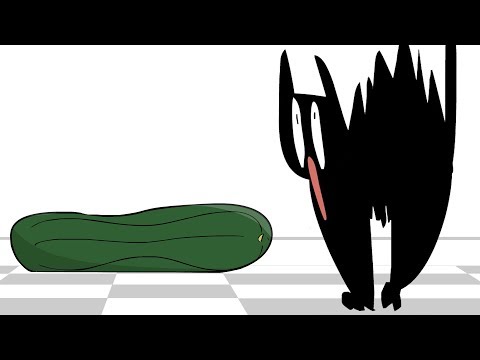 Why Are Cats Afraid Of Cucumbers? | SPD #088