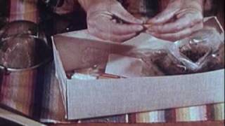 matt pond PA - "People Have A Way"