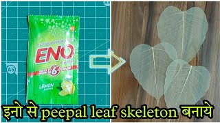 Peepal Leaf Skeleton - पीपल के पत्तो की जाली बनाये - how to make leaves net skeleton