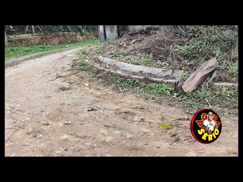 COLOCARAM MEL NO CAMARGOS E DISSE NÃO A PAVIMENTAÇÃO .