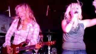 Karma is a Female Dog