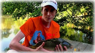 Ловля зеркального карпа в краснодарском крае