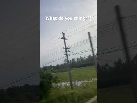 Sabac #Serbia 🇷🇸 #shorts #water #wonder #travel