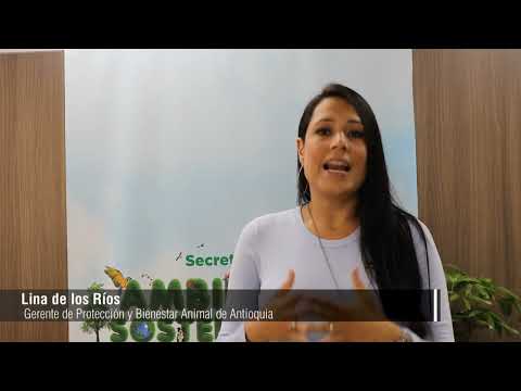 Mujer mató de una patada a un perro en Jericó - Telemedellín