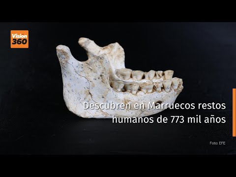 Descubren en Marruecos restos humanos de 773 mil años