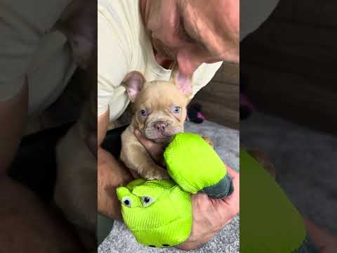 Video 5