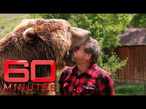 Man puts head in grizzly bear's jaws | 60 Minutes Australia