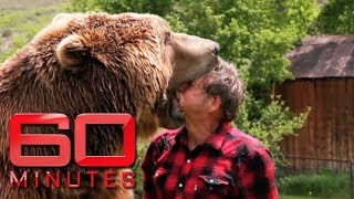 Man puts head in grizzly bear's jaws | 60 Minutes Australia