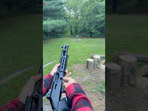 Is This The Most Impressive Cheap Shotgun?