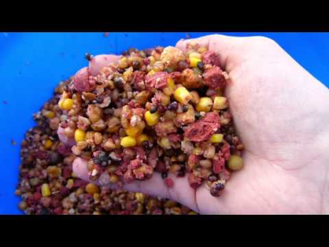 Futtertaktik Frühjahr 2013