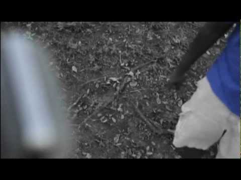 Wavin & Hightoppin Commercial by Lee Master C