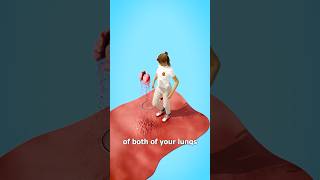 Download lagu The Surface Area Of Your Lungs 🤔 Surgeon Reacts mp3