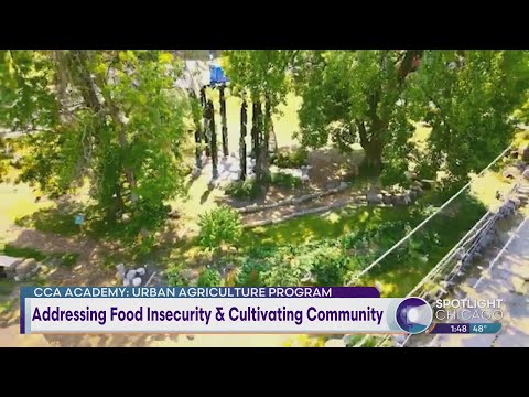 Addressing Food Insecurity & Cultivating Community