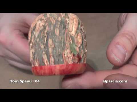 pipa Tom Spanu 104 - tobacco pipe