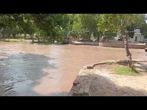 bahawalpur cholistan area