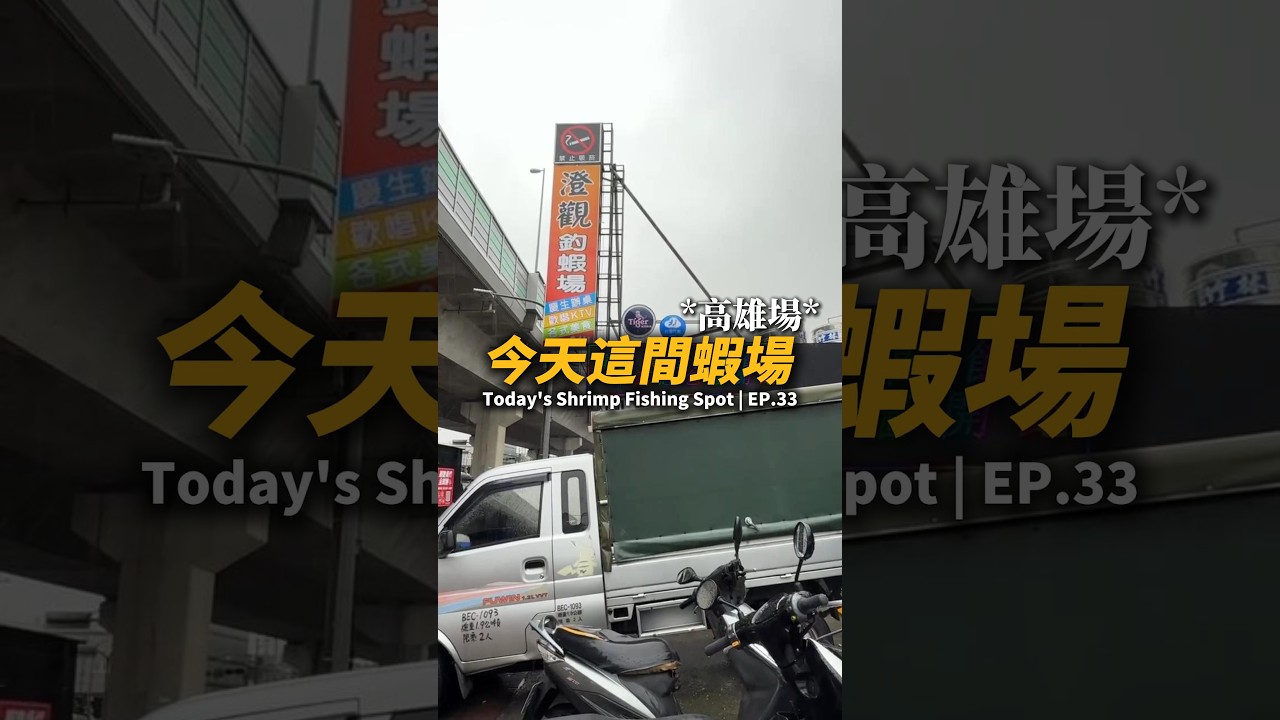 今天這間蝦場EP.33【MLS蝦戰天下】#17shrimp #台湾のエビ釣り #shrimpfishing #새우낚시