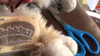 Adopting Mya and Jewel( ft. Anabear12)!!!