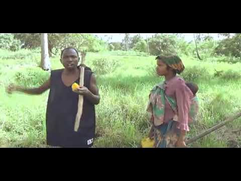 Ibraimo canpitxa mangau