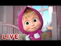 🔴 LIVE 👱‍♀️🐻 Masha y el Oso 🏘️💛 Hogar dulce hogar 🏘️💛 Masha and the Bear💡EN VIVO