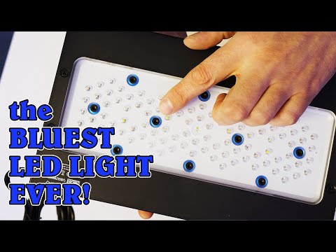 Radion Gen5 Blue Unboxing, Hands-on & Comparison G5 XR15 XR30 PRO BLUE