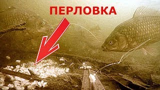 Что и когда клюет на перловку