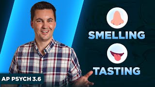 The Process Of Smelling & Tasting [AP Psychology Unit 3 Topic 6] (3.6)