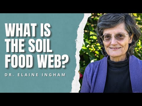 What is the Soil Food Web? | Dr. Elaine Ingham | Soil Biology