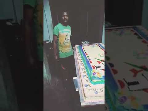 TDP party symbol cake 65 kgs