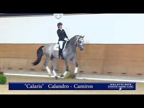 102. Calaris v. Calandro - Camiros