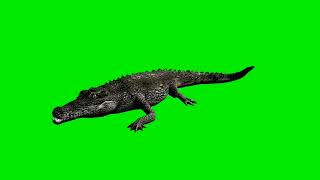 Download lagu Buaya Darat Greenscreen || Free mp3 Download lagu Buaya Darat Greenscreen || Free mp3
