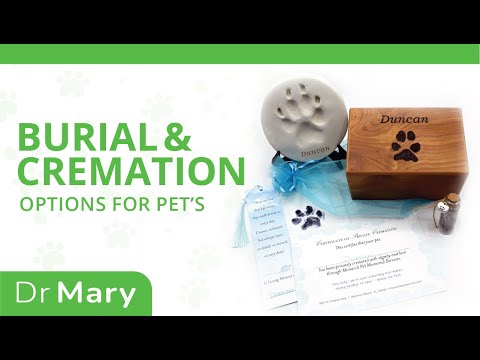 🐾 Dr. Mary: Burial & Cremation Options for Pets