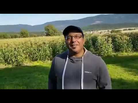 Tamazight Amazigh maghreb Marokko Witze