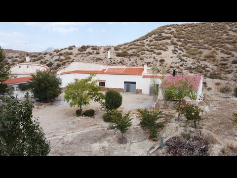 video image