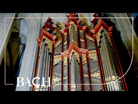 Bach - Little Fugue in G minor BWV 578 - Schouten | Netherlands Bach Society