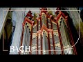 Bach - Little Fugue in G minor BWV 578 - Schouten | Netherlands Bach Society