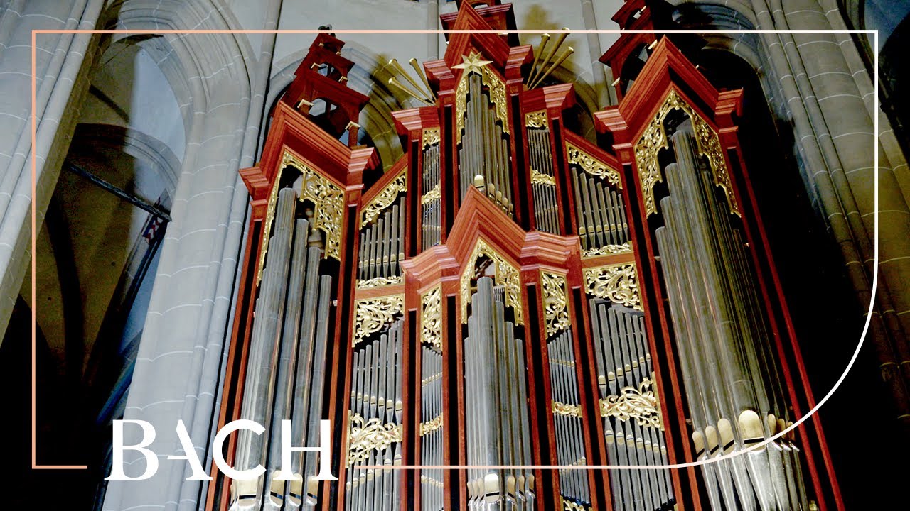 Bach - Little Fugue in G minor BWV 578 - Schouten | Netherlands Bach Society