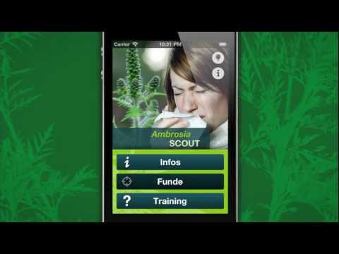 Ambrosia SCOUT Video